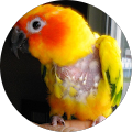Bird johnson profile picture